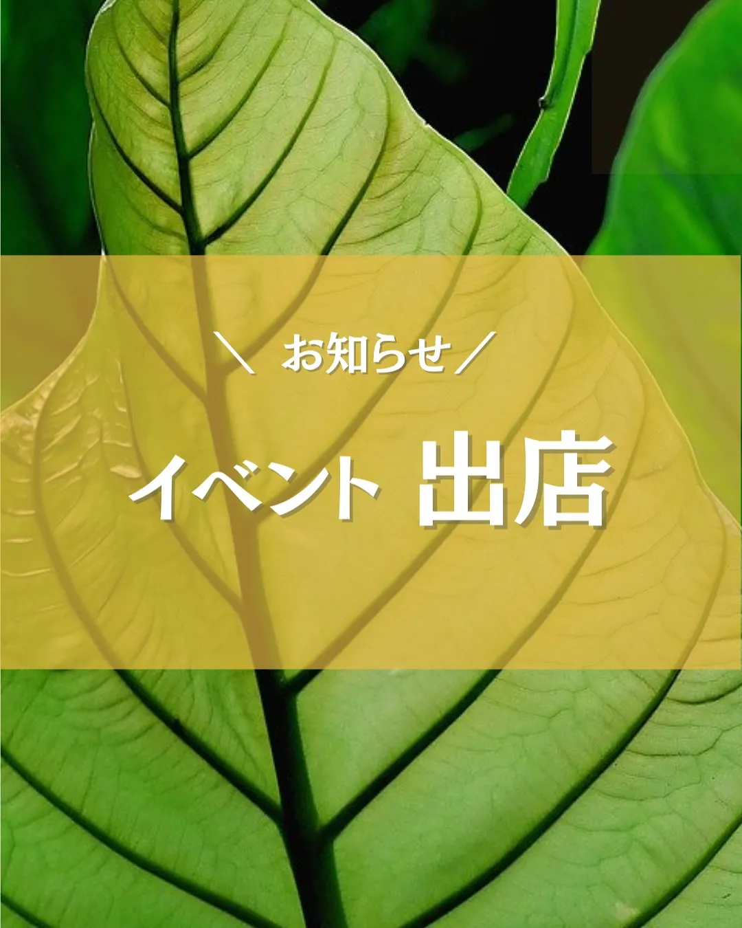 【イベント出店のお知らせ】