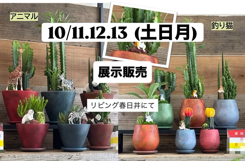 10/11･12･13　展示販売のお知らせ