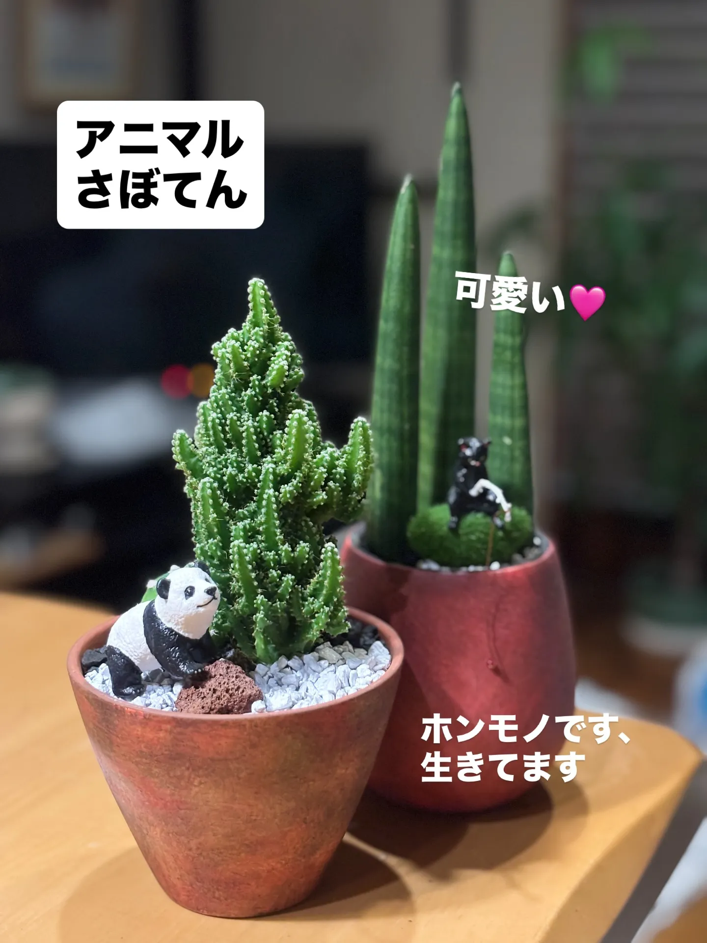 オーダーメードの