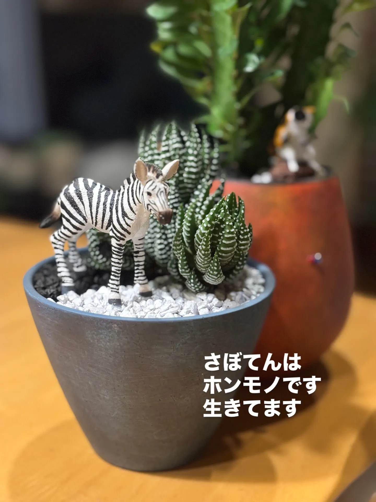 オーダーメードの