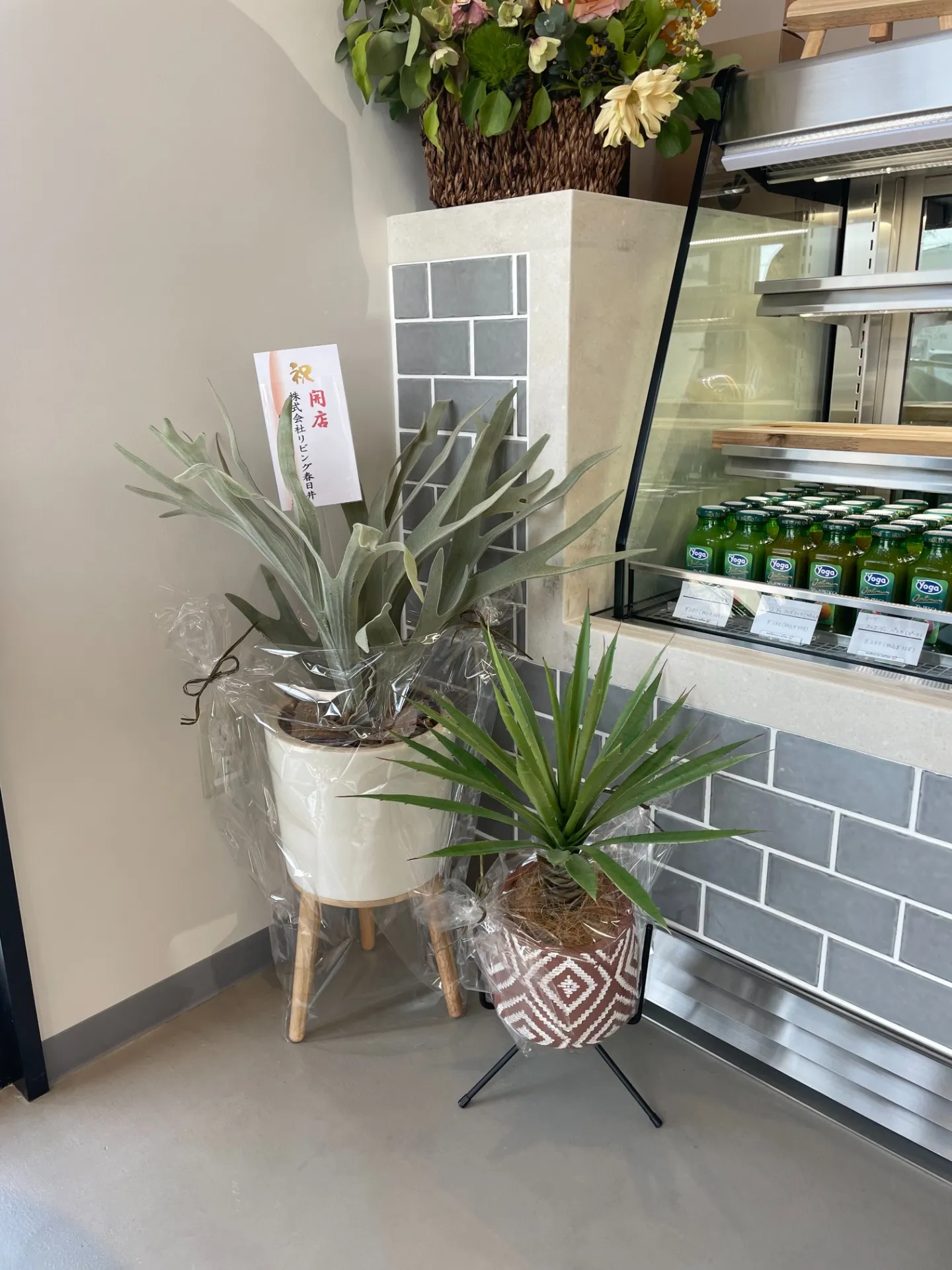 フェイクグリーンをプレゼントで贈る際の選び方とリアルなデザインの魅力解説