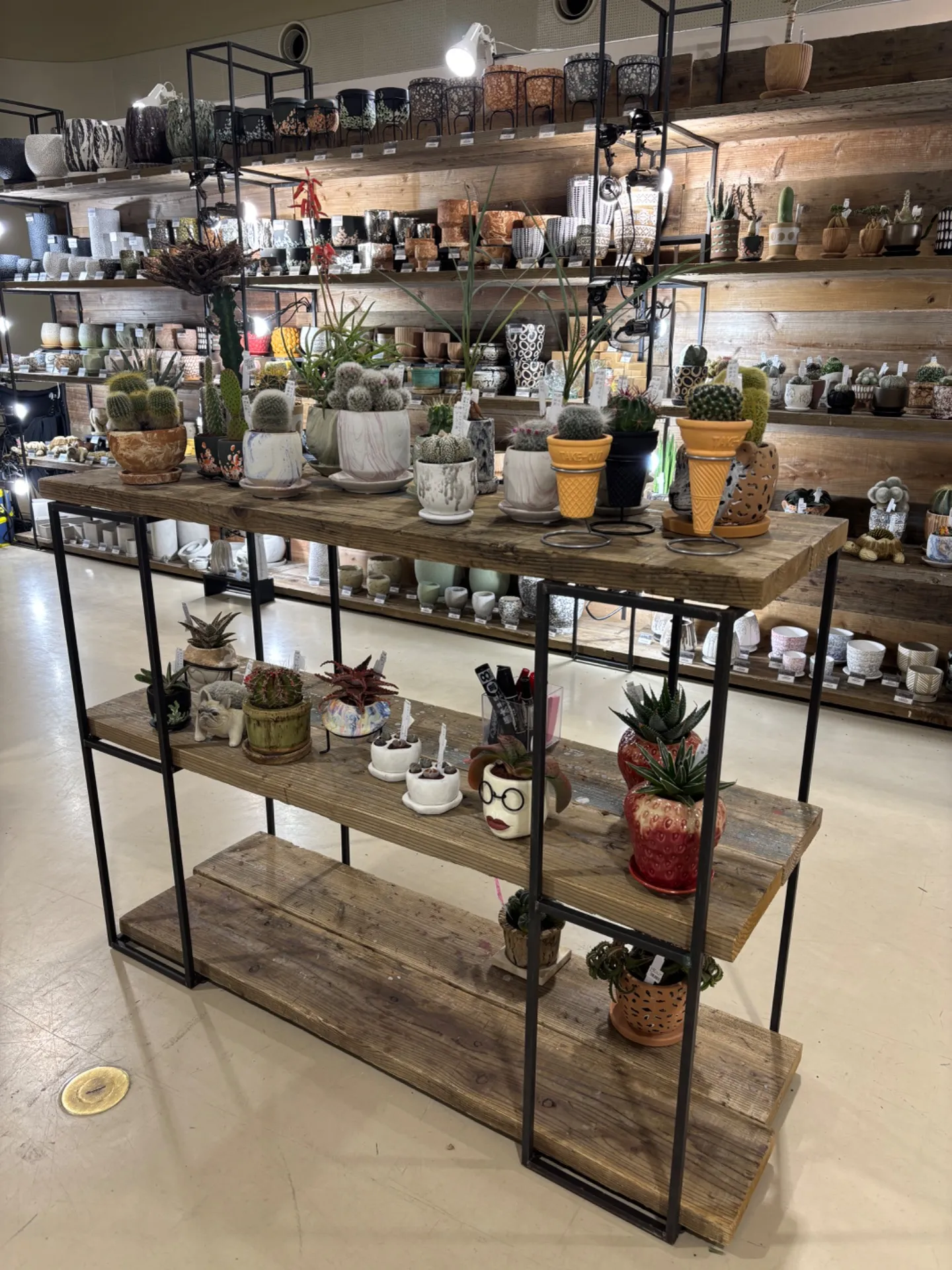 園芸好き必見！名古屋ブルームフェス情報