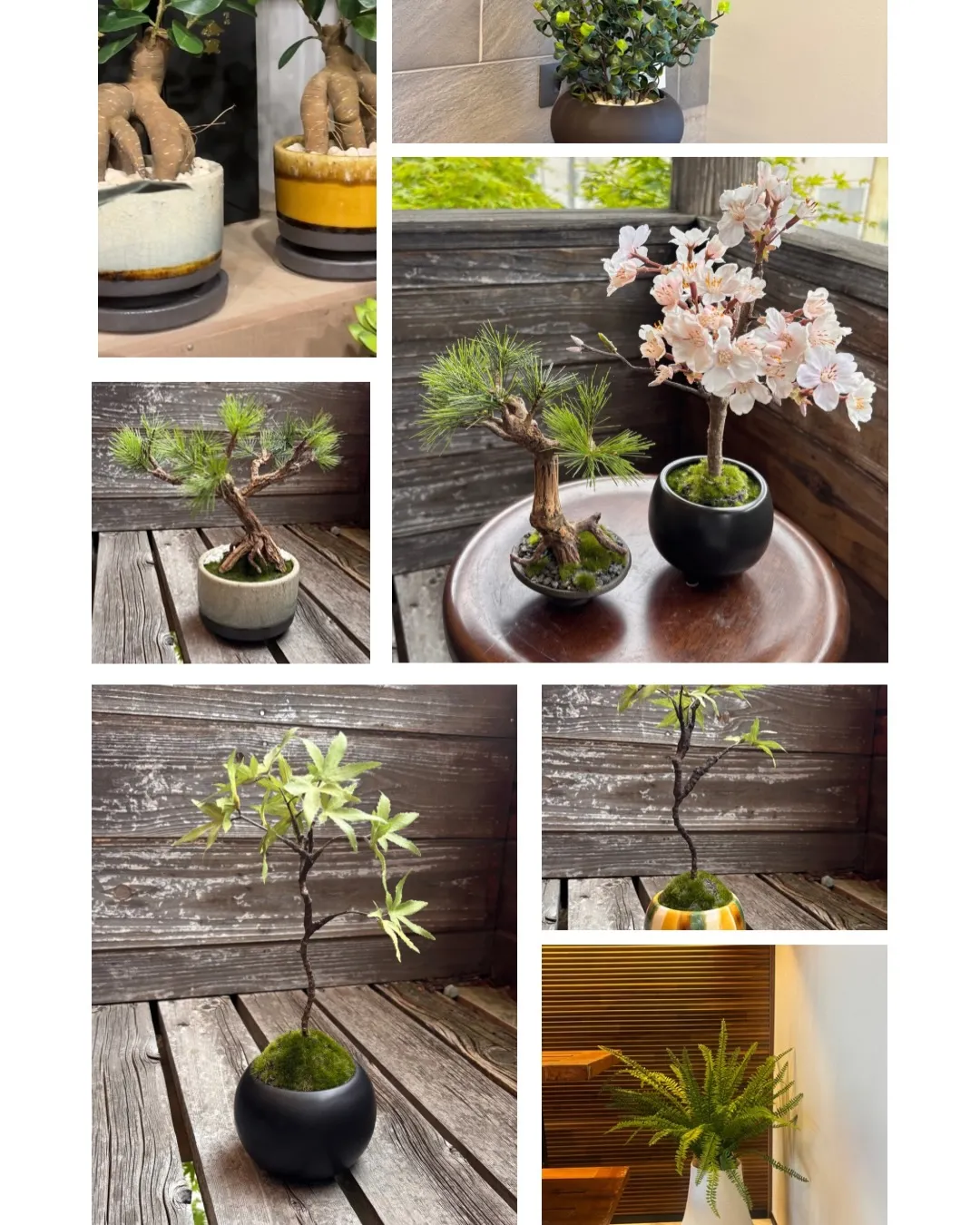 年2回のビックイベント❗️