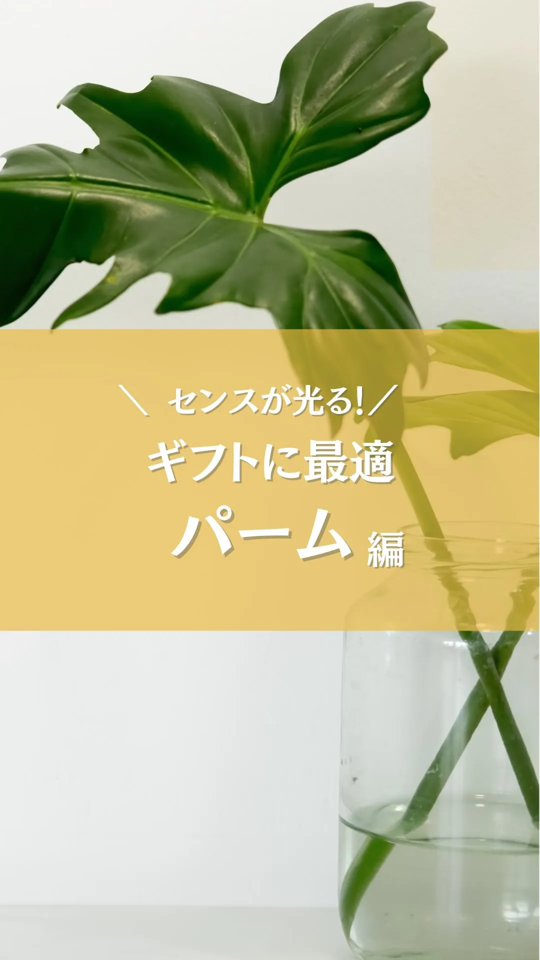 贈り物に最適なフェイクグリーン