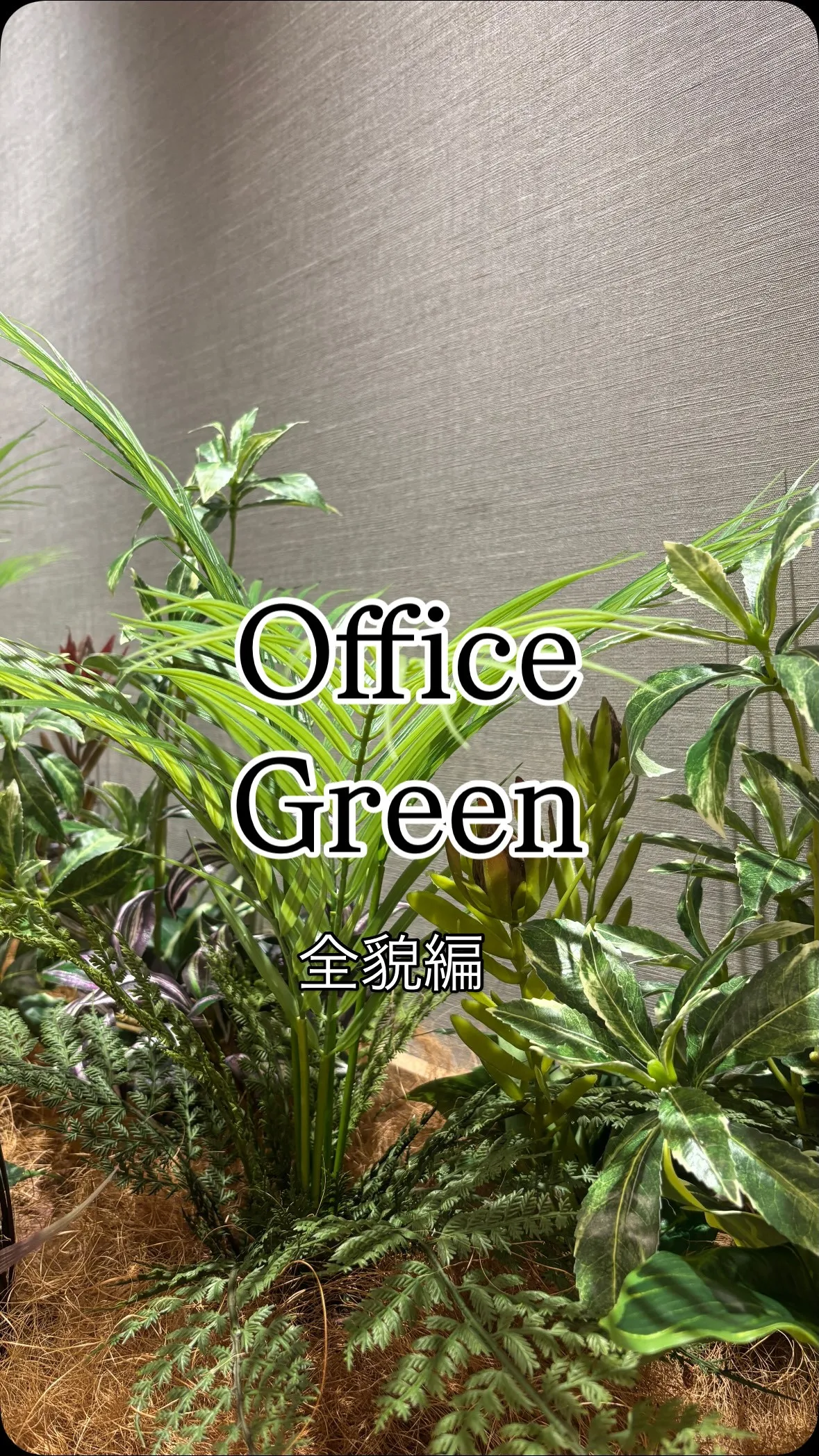 オフィスに、“緑の居場所”をつくる