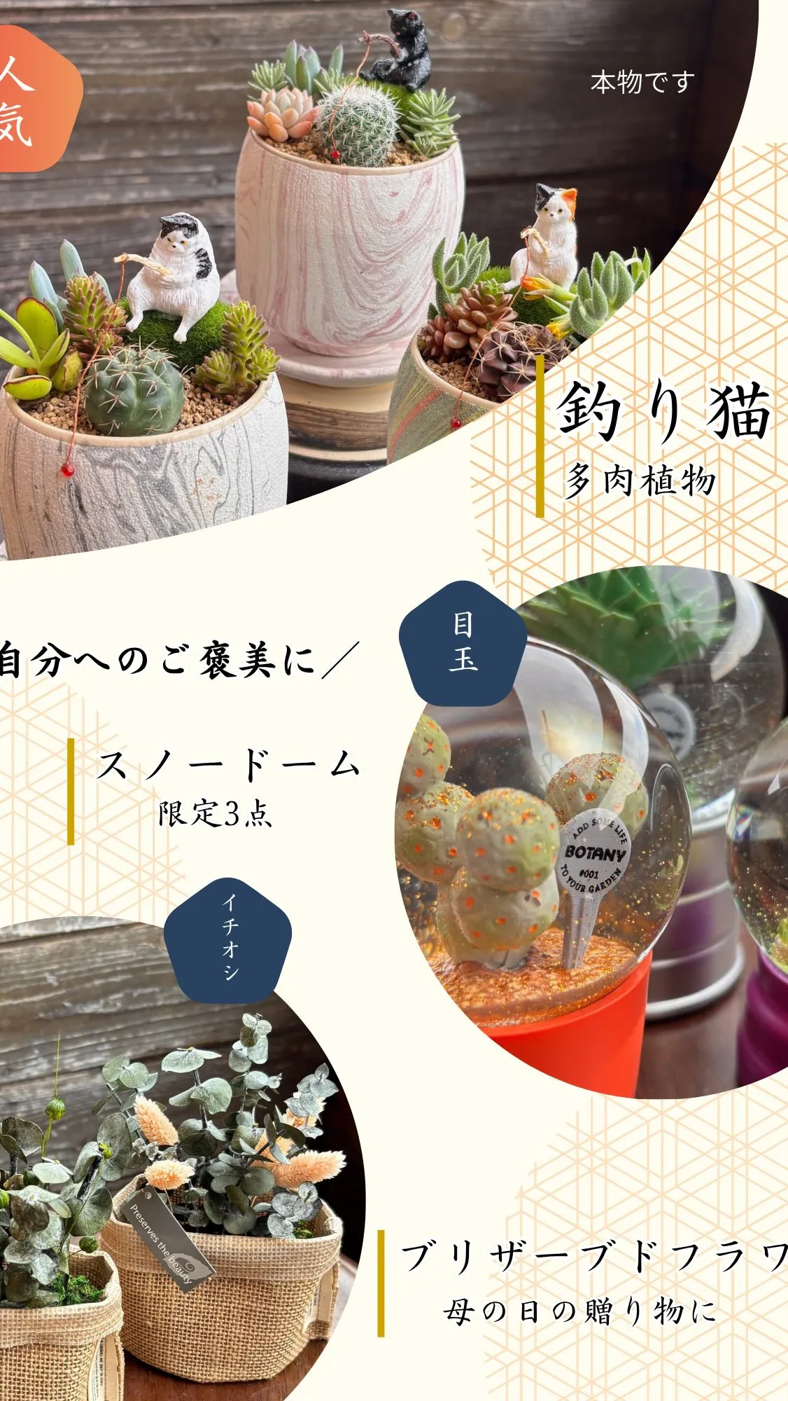 ◾️イベント展示販売の